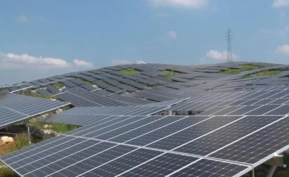 森态app：能源转型先锋，把握光伏能源市场机遇