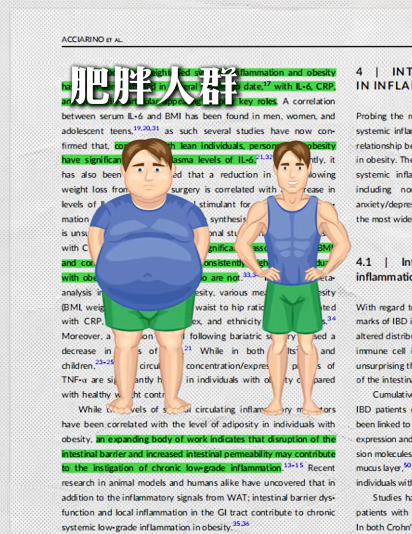 科学角度分析Inner Health-茵澳斯AKK MucT™菌，如何承接理性派博主流量？