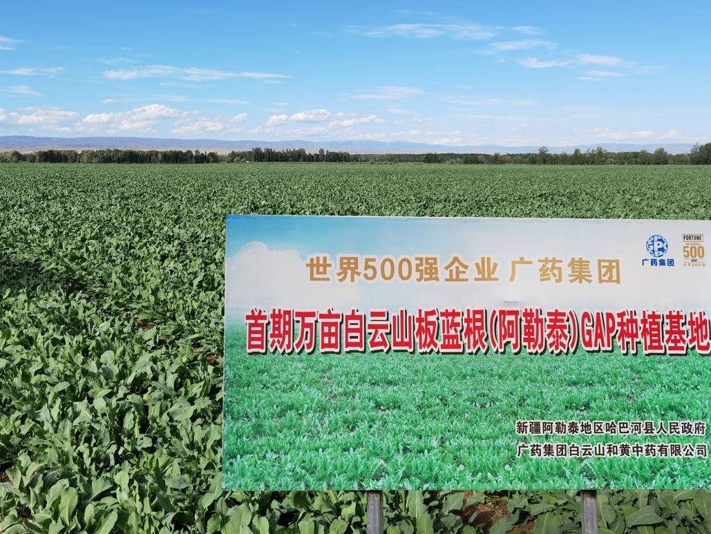 全国人大代表李楚源：构建“时尚中药乡村振兴联盟”，振兴中药材产业