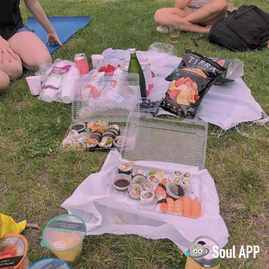 夏日要有仪式感 不妨学Soul网友来一次公园野餐